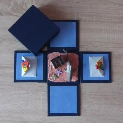 Geldgeschenkverpackung - Unten im Meer