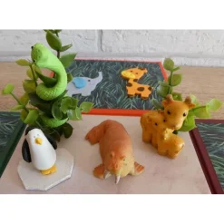 Geldgeschenkverpackung - Zoo/Tierpark