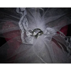 Geldschwein LIZZY DAS BRAUTSCHWEIN  Geschenk oder Sammelschwein zur Hochzeit XXL- Geldschwein Geldgeschenk Verlobung