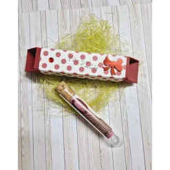 Geschenkbox für Geldgeschenk Reagenzglas – Handgemachte Geschenkidee