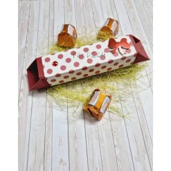 Geschenkbox für Geldgeschenk Reagenzglas – Handgemachte Geschenkidee