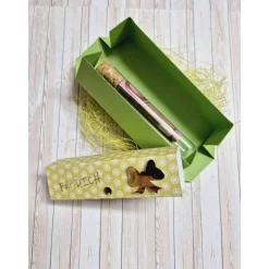 Geschenkbox für Geldgeschenk Reagenzglas – Handgemachte Geschenkidee