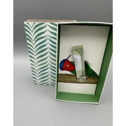Geschenkbox Vogel Papagei