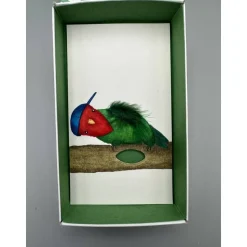 Geschenkbox Vogel Papagei