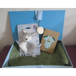 Geschenkset Baby zur Geburt - Babydecke grün