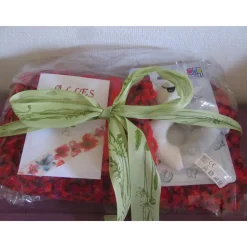 Geschenkset Baby zur Geburt - Babydecke mit Mütze und Schühchen