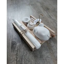 GeschenkSet Ein paar Mäuse für Dich * Kerze*Wunscherfüller*Kerzenhalter*Maus*Reagenzglas*