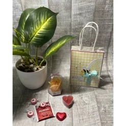 Geschenkset „kleine Auszeit“ zum Valentinstag, Muttertag, Geburtstag etc., Wellness-Tüte, Herz-Teelicht, Baderose, Tee