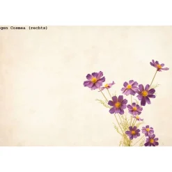 Geschenktüte Cosmea, 2 Stück Bodenbeutel-Papiertüten (sortiert) mit Sommerblumen in Lila