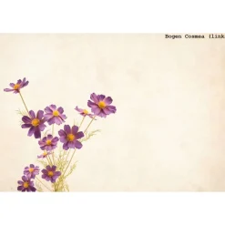 Geschenktüte Cosmea, 2 Stück Bodenbeutel-Papiertüten (sortiert) mit Sommerblumen in Lila