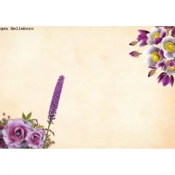 Geschenktüte Helleboro, 2 Stück Bodenbeutel-Papiertüten mit Christrosen