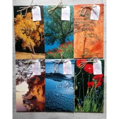 Geschenktüten Papiertüten aus einem Natur Bildband