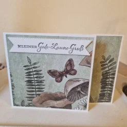 Geschenkverpackung / Geschenkset / Libelle / Gute Laune Gruß / Libellenmotiv Verpackung / Geschenk Insektenmotiv