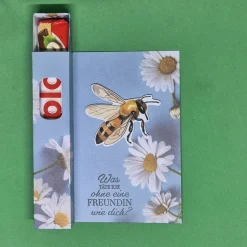 Geschenkverpackung Bienenmotiv / Geschenkverpackung Natur / Geschenkverpackung Gänseblümchen / Geldgeschenke