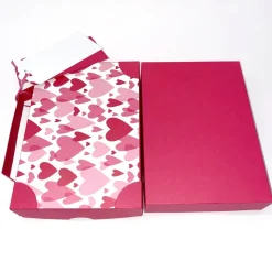 Geschenkverpackung in Kofferoptik aus Karton für ein Geldgeschenk zum Urlaub oder Reisegutschein (18x13,5x3,3 cm)