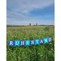 Girlande zum Ruhestand / Rente / Auf Wunsch personalisiert mit Wunschtext / Abschied /