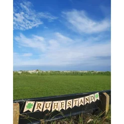 Girlande zum Ruhestand / Rente / in Beige und Gold