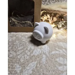 Glücksschwein aus Raysin – Handgegossen, Unikat & Geschenkverpackung