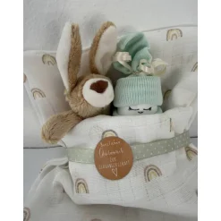 Glückwunsch zur Schwangerschaft!, für werdende Eltern, Häschen, kleine Windeltorte Hase, Geschenk zur Schwangerschaft