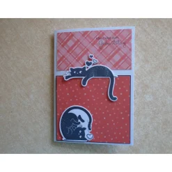 Glückwunschkarte Geburtstagskarte Grußkarte Katze Katzen Katzenfan Farbe nach Wahl Stampin up