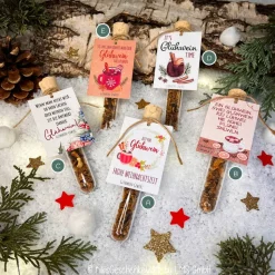 Glühwein-Gewürz im Reagenzglas, Glühwein, Weihnachtsgeschenk, Wichtelgeschenk, kleine Aufmerksamkeit, Punsch