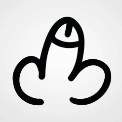 Großer Penis Aufkleber Normus Decentus | Autosticker | Pimmel Autoaufkleber JGA Junggesellenabschied | Scherz