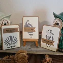 Gutscheinverpackungen - Maritim - Muscheln - Seepferdchen - 3er Set