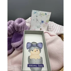 Handgemalte Geschenkbox zur Geburt – Welcome Baby mit Geldfach & Schleife