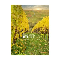 Herbst im Weinberg, Weinland Franken, Herbstlaub gelb, Heimatbild Unterfranken, Fotokunst, Größe 18 x 24 cm