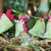 Hühner, Osterdeko, 4er-Set in grün rosa