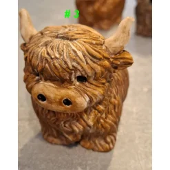 Hochlandrind aus Raysin