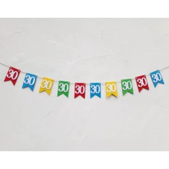 Hochwertige Girlande zum 30. Geburtstag oder Jubiläum, in leuchtend bunten Farben, Wimpel Wimpelkette Fahnengirlande Par
