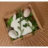 Holzset Ostern | Osterhase | Geschenkidee | Dekoset | Geschenk
