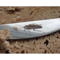 Horror Besteck, Halloween Dinner Gäste, Spinne, Fliege, ein witziger Gesprächsstoff am Tisch, 4-tlg. in Geschenkverpackung