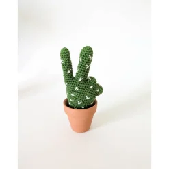 Kaktushand gehäkelt | Lustige Geschenkidee | witzige Deko | Geschenk für Kollegen | Büro-Geschenk