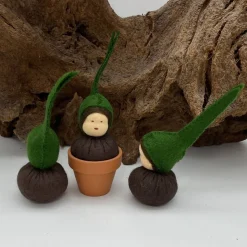 Keimlinge Mini - Jahreszeitentisch - Blumenkind - Frühjahr - Frühlingsdeko