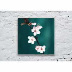 Kirschblüte in Rosa, Botanik Druck und Fotografie mit grünem Hintergrund, Geschenk zum Frühling, 13 x 13 cm, 20 x 20 cm