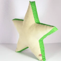 Kissen Stern