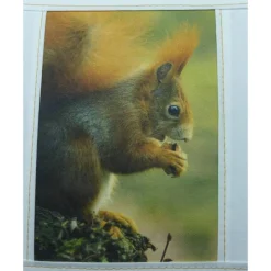 Kissenbezug 'Eichhörnchen Fritzi', echte Fotografie, Unikat