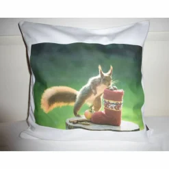 Kissenhülle Eichhörnchen am Nikolausstiefel