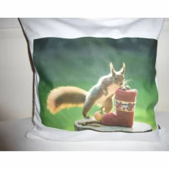 Kissenhülle Eichhörnchen am Nikolausstiefel