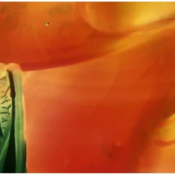 Klebefolie - Malerei • 