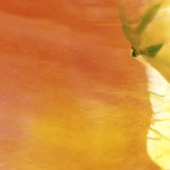 Klebefolie - Malerei • Vorweihnachtlich • Fensterschmuck Design  Ulrike Kröll