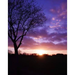 kleine Ohrstecker 10mm Cabochon bronze in verschiedenen Größen  mit eigenen Bild personalisiert