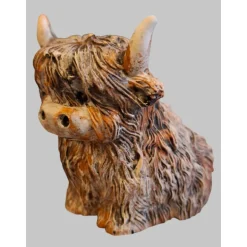 kleines Hochlandrind aus Raysin #5