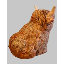 kleines Hochlandrind aus Raysin #3