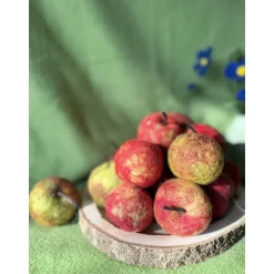 Knackige Äpfel aus der echten Wolle in grün oder rot gefilzter Apfel