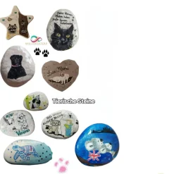 Koala-Abenteuer in Australien