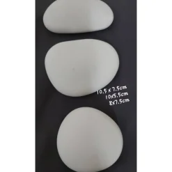 Koala-Abenteuer in Australien