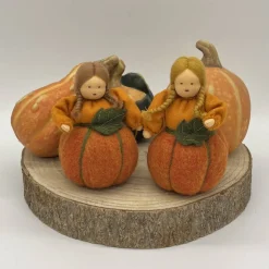 Kürbis - Jahreszeitentisch - Blumenmädchen  - Herbst